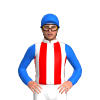 Jockey Silk