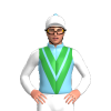 Jockey Silk