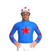 Jockey Silk