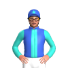 Jockey Silk