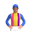 Jockey Silk