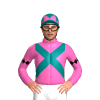 Jockey Silk