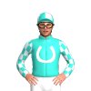 Jockey Silk