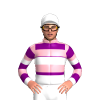 Jockey Silk