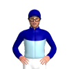 Jockey Silk