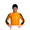 Jockey Silk