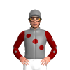 Jockey Silk