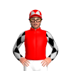 Jockey Silk