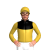 Jockey Silk