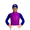 Jockey Silk