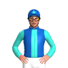 Jockey Silk