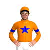 Jockey Silk