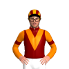 Jockey Silk