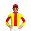 Jockey Silk