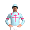 Jockey Silk