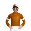 Jockey Silk