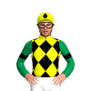 Jockey Silk