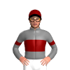 Jockey Silk