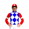 Jockey Silk