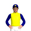 Jockey Silk