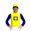 Jockey Silk