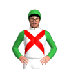 Jockey Silk