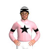 Jockey Silk