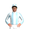 Jockey Silk