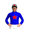 Jockey Silk