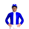 Jockey Silk