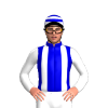 Jockey Silk
