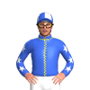 Jockey Silk