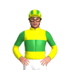 Jockey Silk
