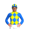 Jockey Silk