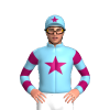 Jockey Silk