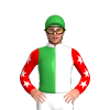 Jockey Silk