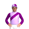 Jockey Silk