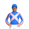 Jockey Silk