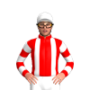 Jockey Silk