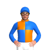 Jockey Silk