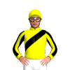 Jockey Silk