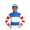 Jockey Silk