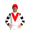 Jockey Silk
