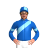 Jockey Silk