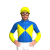 Jockey Silk