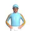 Jockey Silk