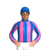 Jockey Silk