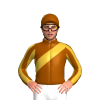 Jockey Silk