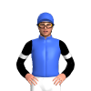 Jockey Silk