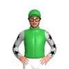 Jockey Silk